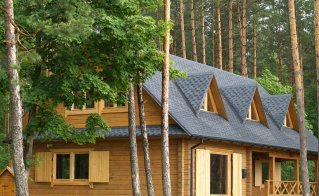 Bebrynė prie Luodžio