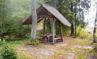 Dusetų girios II stovyklavietė