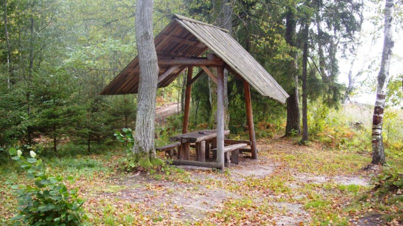 Dusetų girios II stovyklavietė