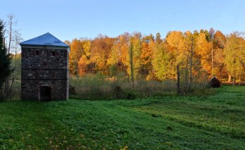 Stelmužės dvarvietė