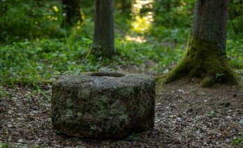Šavašos šventvietės akmuo Lūžų miške