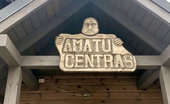 Medžio drožėjas Erikas Čypas