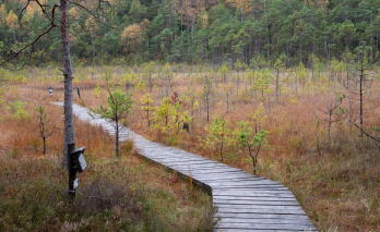 Degučių pažintinis takas