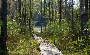 Ilgašilio pažintinis takas