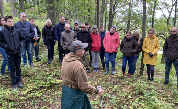 Liaudiškių piliakalnis su gyvenviete