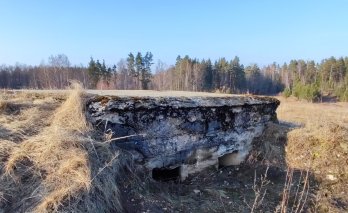 Pirmojo pasaulinio karo vokiečių karių įtvirtinimai Turmante
