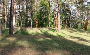 Skulptūrų parkas Zaraso ežero Didžiojoje Saloje