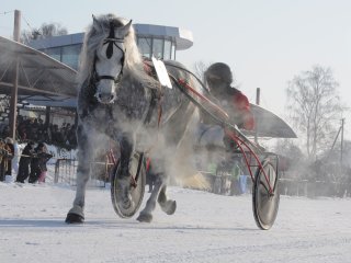 Sartų žirgų lenktynės