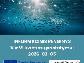 Informacinis renginys V ir VI kvietimų pristatymui